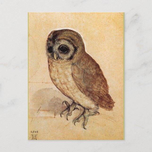 The Little Owl by Albrecht Durer Postcard (Front)