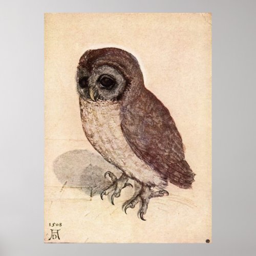 The Little Owl by Albrecht Drer Poster