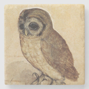 The Little Owl (by Albrecht Durer) Stone Coaster