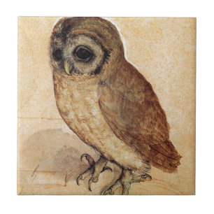 The Little Owl by Albrecht Durer Tile