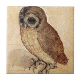 The Little Owl by Albrecht Durer Tile