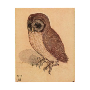The Little Owl (Durer 1508) Wood Wall Art