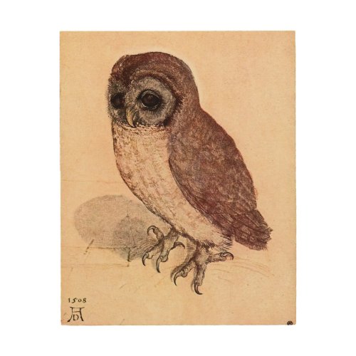 The Little Owl Durer 1508 Wood Wall Art