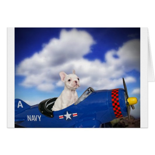 The little pilot (Front Horizontal)