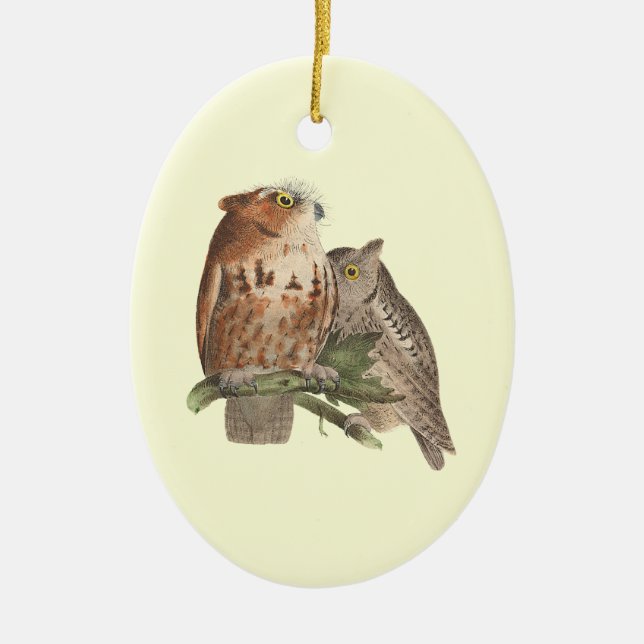 The Little Screech Owl	(Bubo asio) Ceramic Ornament (Front)
