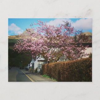 The Little Village of Glencoe, Scotland Postcard