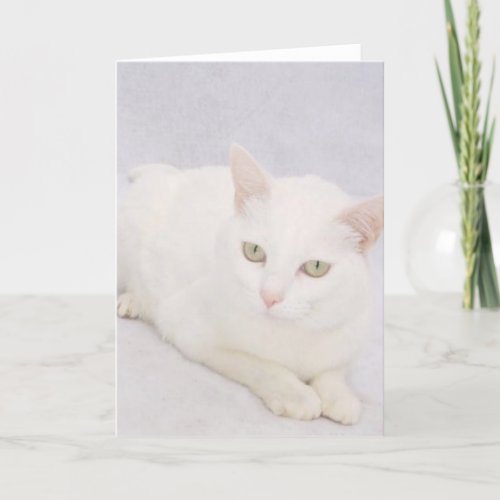 The Little White Cat Card