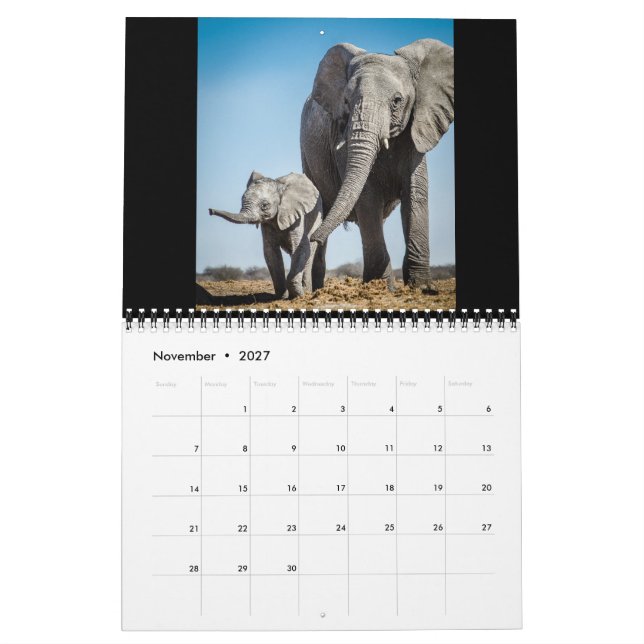 The Littlest Giants Calendar (Nov 2027)