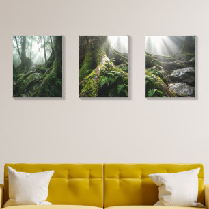 The Living Window: Yakushima Moss Forest Triptych Canvas Photo Tile