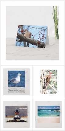 The LJ Roy Photography Collection