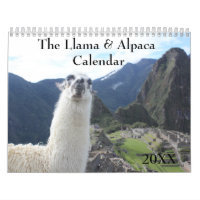 The Llama and Alpaca Any Year custom