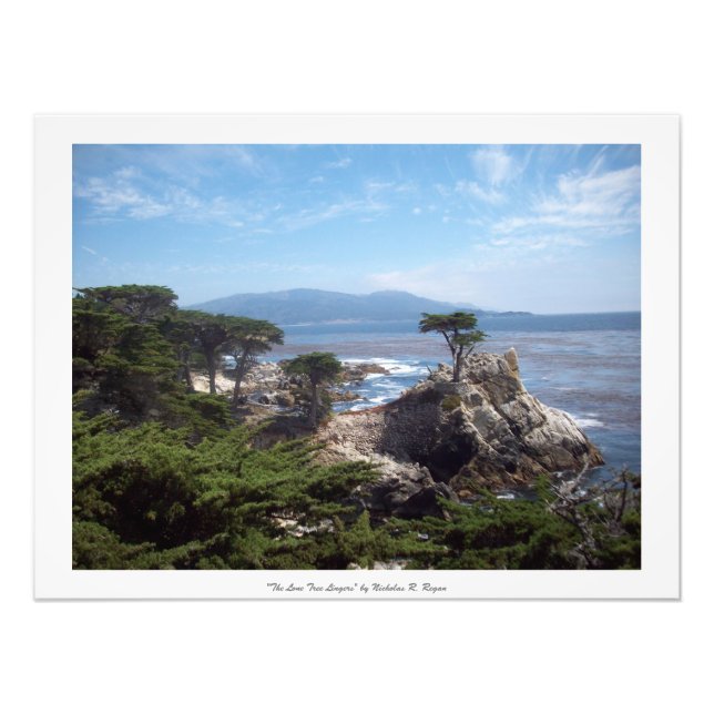 "The Lone Tree Lingers" Monterey County Photo Print (Front)