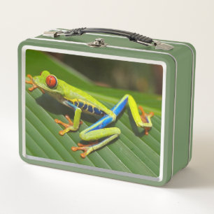 The Long Frog Metal Lunch Box