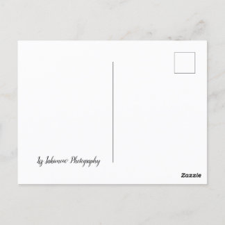 The Long Road Home - car on highway Postcard