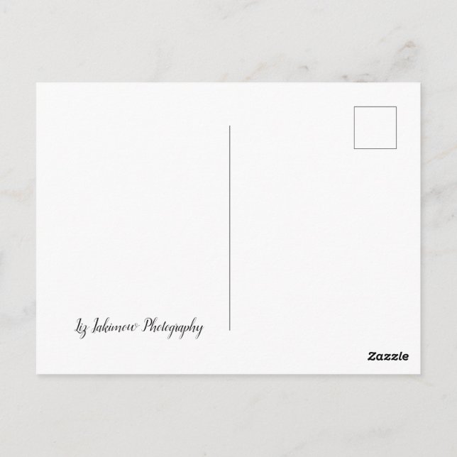 The Long Road Home - car on highway Postcard (Back)