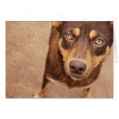 The look of love (Front Horizontal)