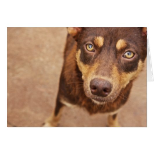 The look of love (Front Horizontal)