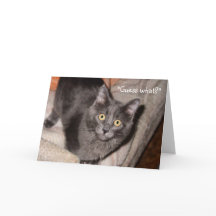 The Look of Love Valentine's Day Greeting Card