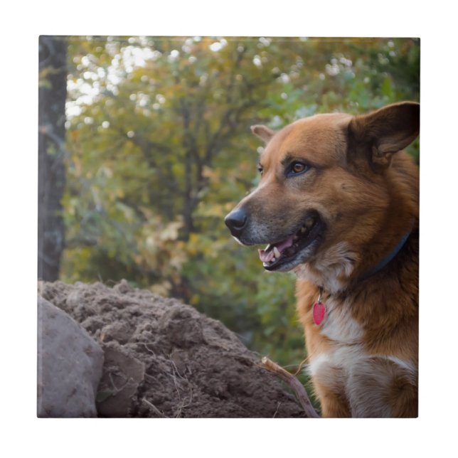 The Look of Loyalty Ceramic Tile (Front)