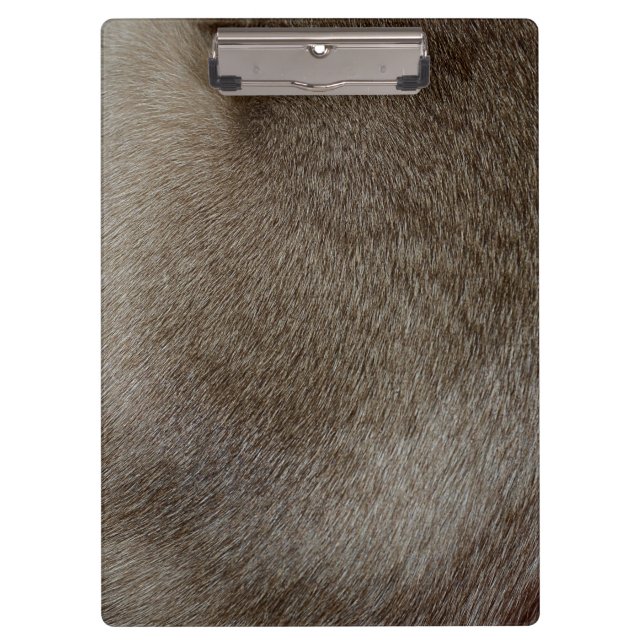 The look of Luxurious Seal Point Siamese Cat Fur Clipboard (Front)