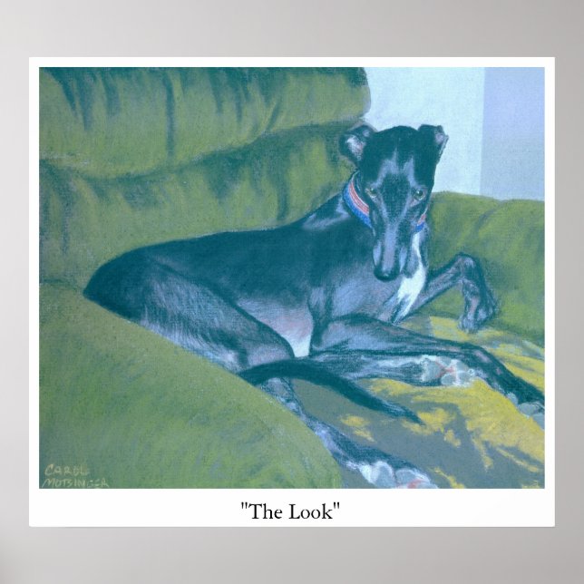 The Look Poster (Front)