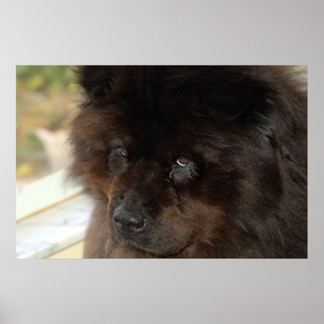 The Look Poster (Front)