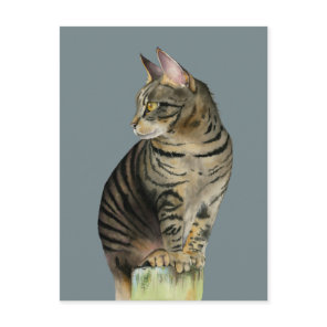 "The Lookout" Tabby Cat on Wood Post Illustration Postcard