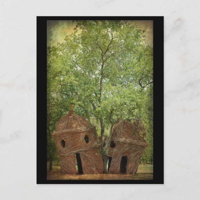 .::The Lookout Tree::. Postcard (Front)