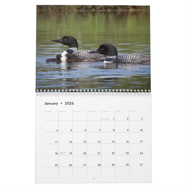 The Loon Calendar (Jan 2026)