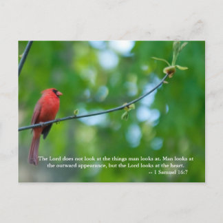 The Lord does not look at the things man looks at. Postcard