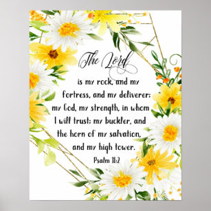The Lord Is My Rock And My Fortress Psalm 18:2 Poster