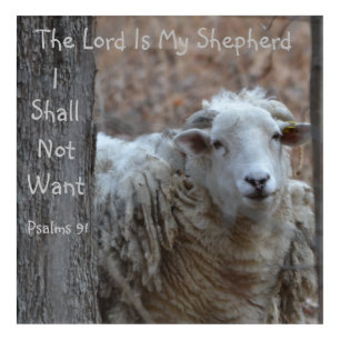 The Lord Is My Shepherd Acrylic Print