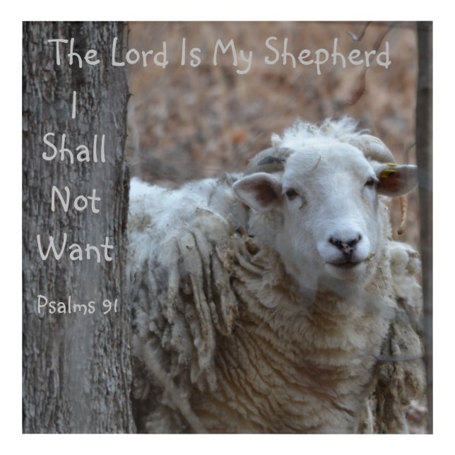 The Lord Is My Shepherd Acrylic Print (Front)