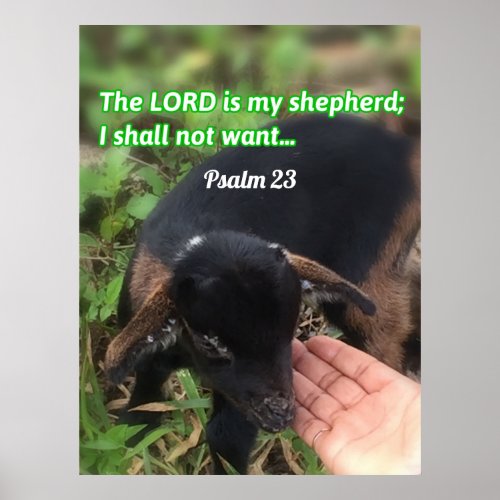 The Lord Is My Shepherd Bible Verse Picture  Poster