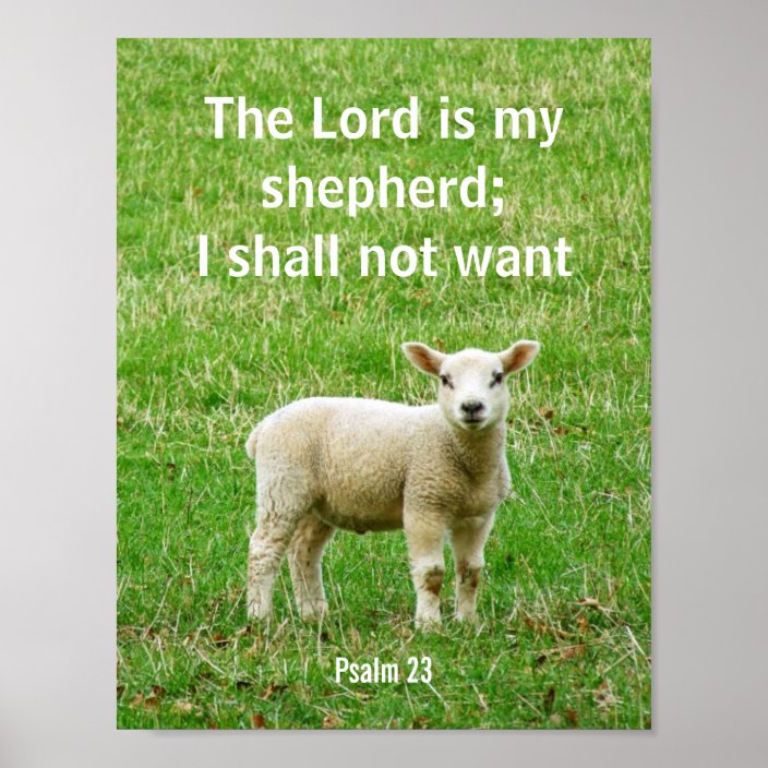 The Lord is my shepherd, psalm 23, a lamb poster | Zazzle.com