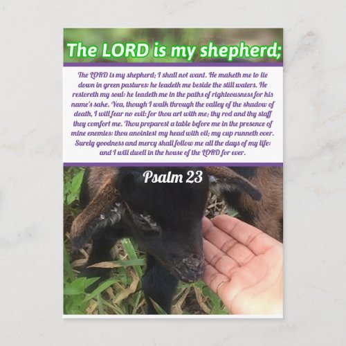 The Lord Is My Shepherd Psalm 23 Bible Verse Postcard