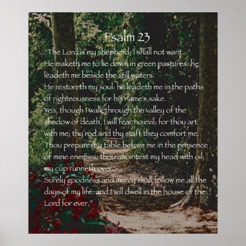 The Lord is my shepherd Psalm 23 Poster