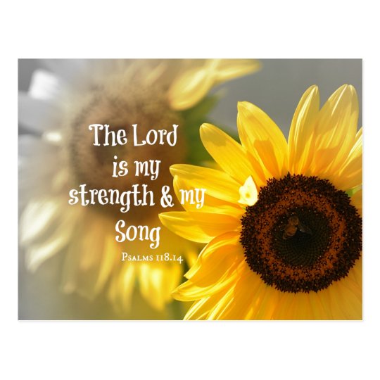 Image result for sunflower scripture