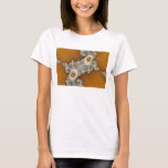 The Lost Sands T-Shirt
