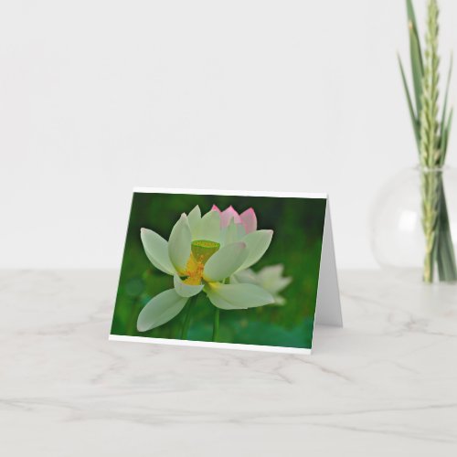 The Lotus Card