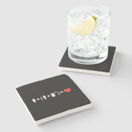 The Love Equation for Men Stone Coaster