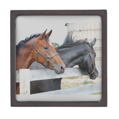 The Love Horses Jewelry Box