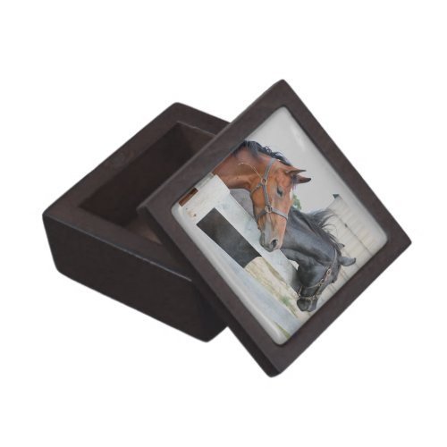 The Love Horses Jewelry Box