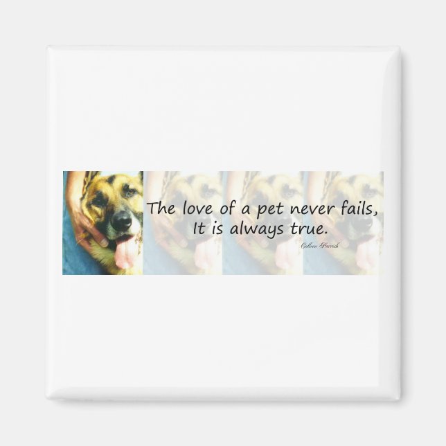 The Love of a Pet Magnet (Front)