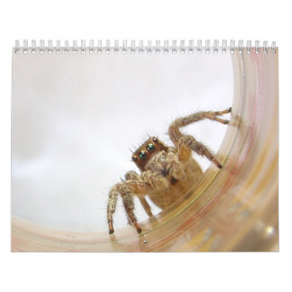 The Love of Bugs Calendar