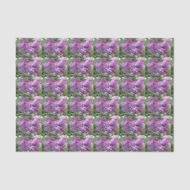 The lovely Lilacs Tissue Paper (Front)