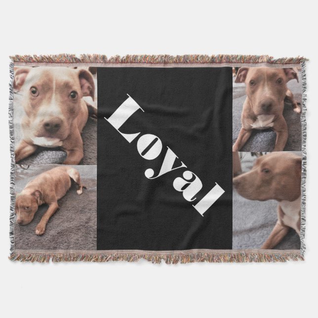 THE LOYAL PIT BULL throw Throw Blanket (Front)