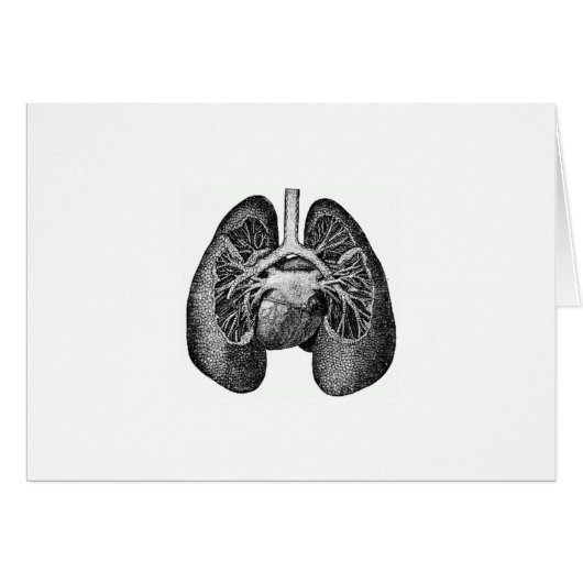 The lungs & heart cards (Front Horizontal)