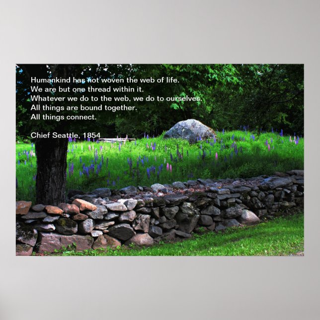 The  Lupine Wall - Chief Seattle Quote Poster (Front)