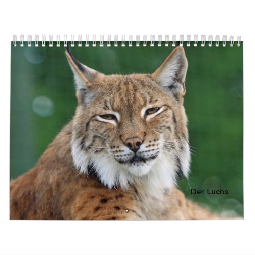 The lynx calendar